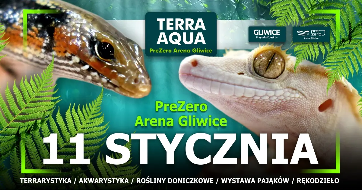 wydarzenie na fb 1200x628